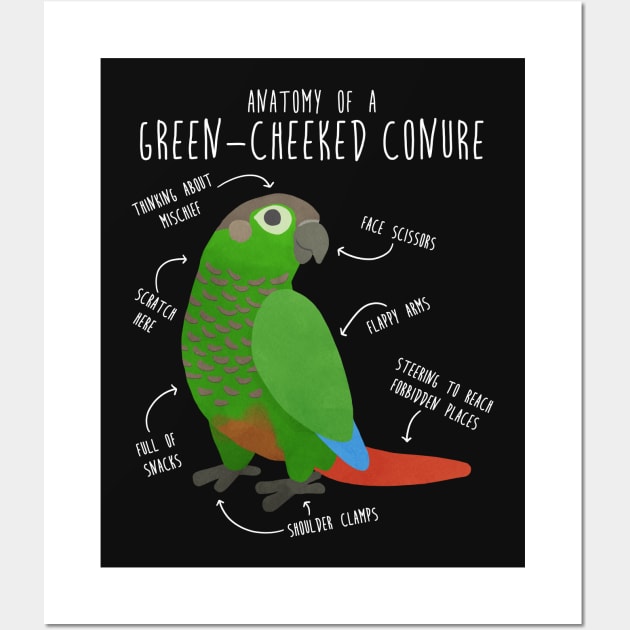 Green Cheek Conure Anatomy Wall Art by Psitta